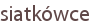 siatkówce