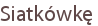Siatkówkę