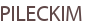PILECKIM