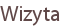 Wizyta
