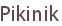 Pikinik