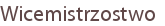 Wicemistrzostwo