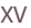 XV