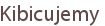 Kibicujemy