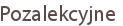 Pozalekcyjne